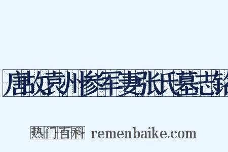 唐故袁州参军妻张氏墓志铭是什么意思的图片